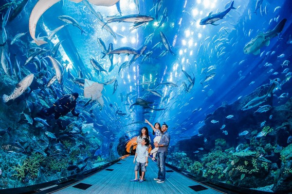 Dubai Mall Aquarium &amp; Underwater Zoo